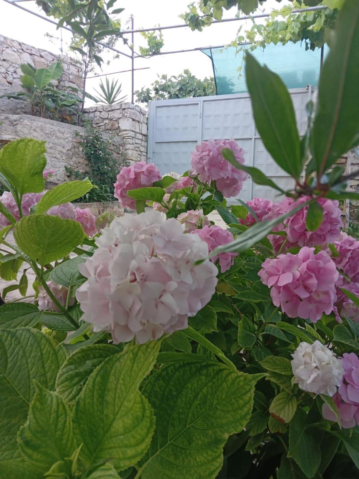 Vjollca'S Home Saranda Zewnętrze zdjęcie