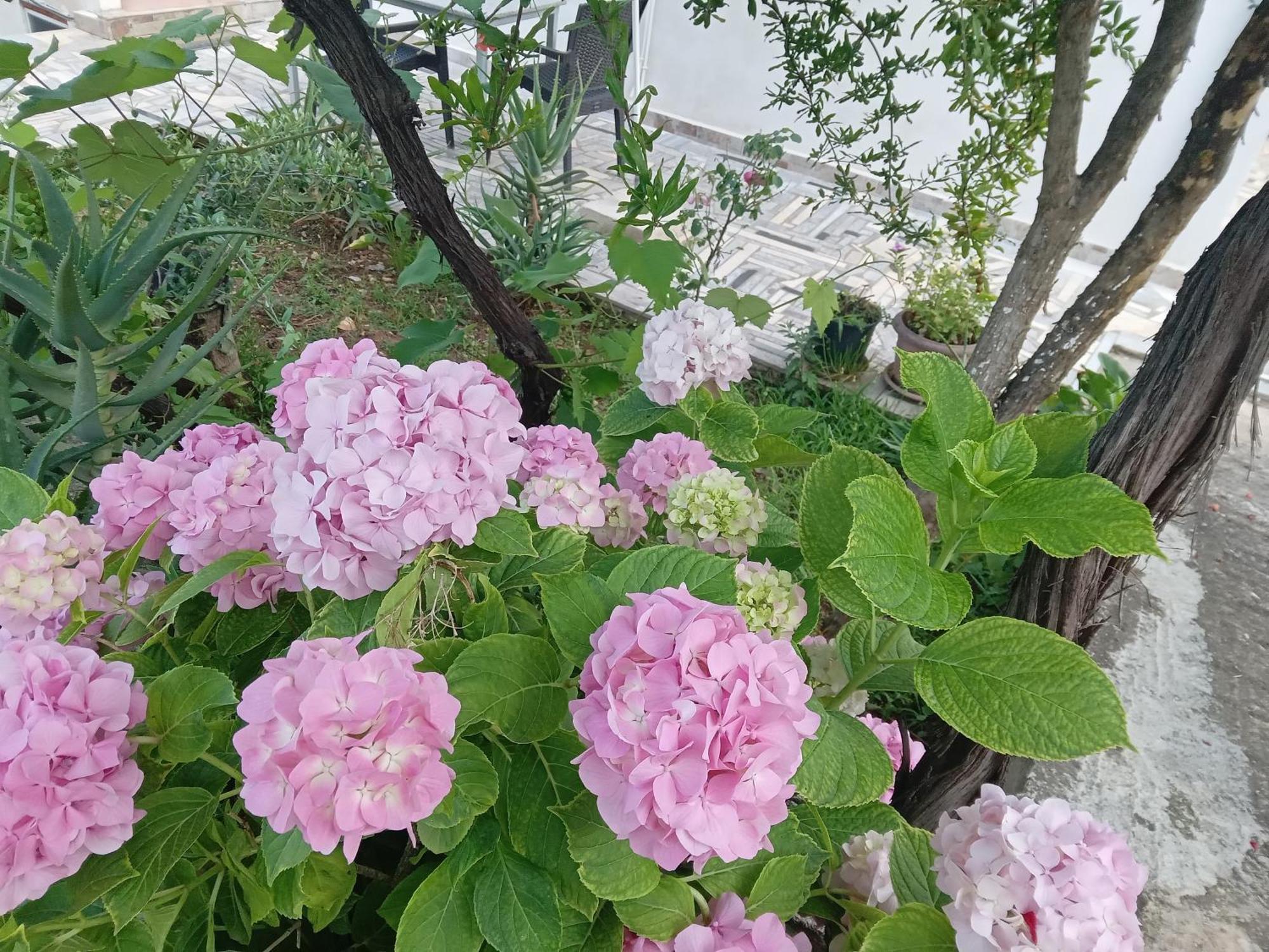 Vjollca'S Home Saranda Pokój zdjęcie