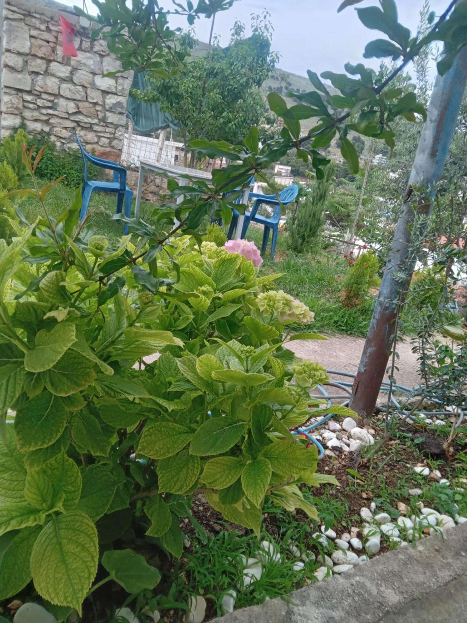 Vjollca'S Home Saranda Zewnętrze zdjęcie