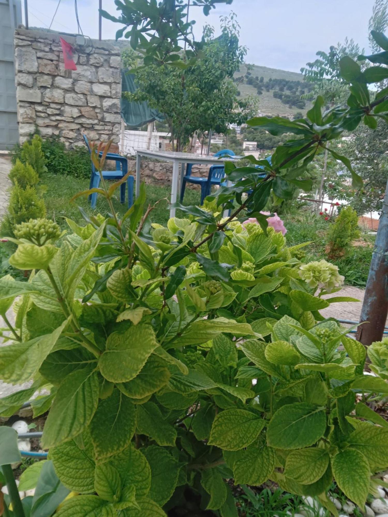 Vjollca'S Home Saranda Zewnętrze zdjęcie