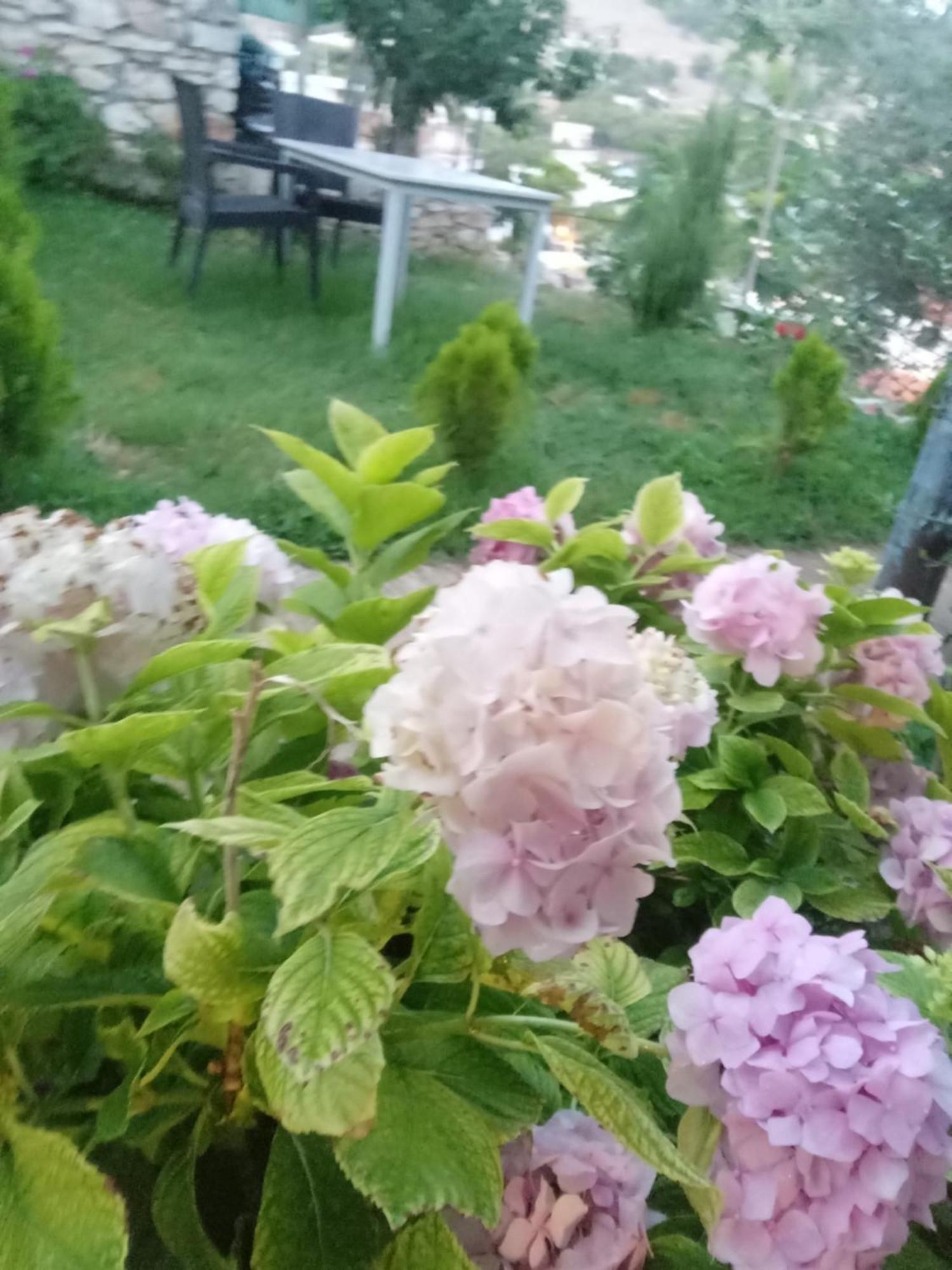 Vjollca'S Home Saranda Zewnętrze zdjęcie