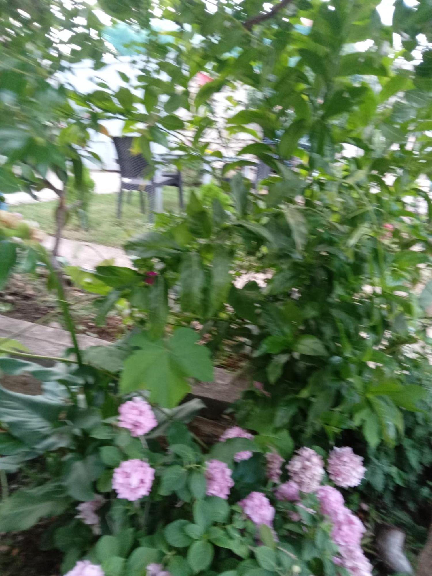 Vjollca'S Home Saranda Pokój zdjęcie