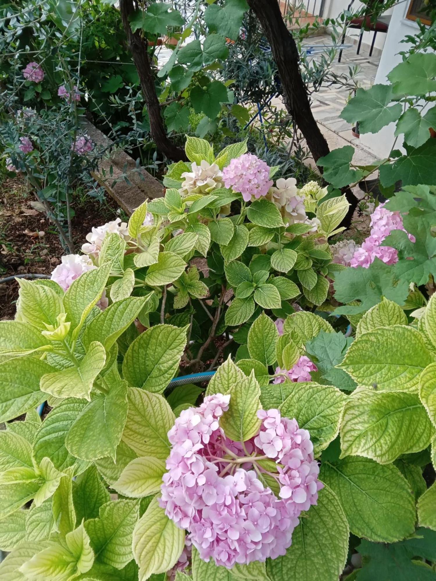 Vjollca'S Home Saranda Pokój zdjęcie
