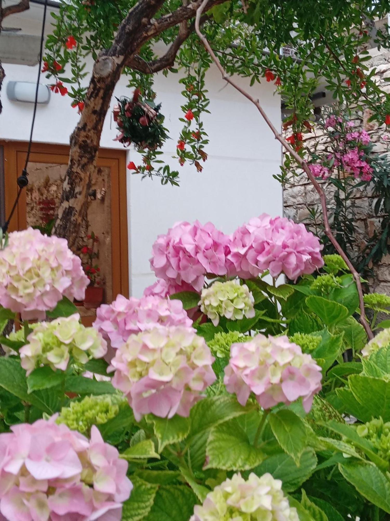 Vjollca'S Home Saranda Pokój zdjęcie