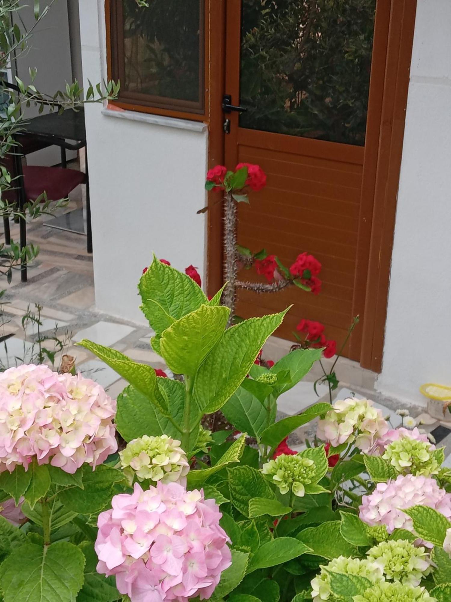 Vjollca'S Home Saranda Pokój zdjęcie